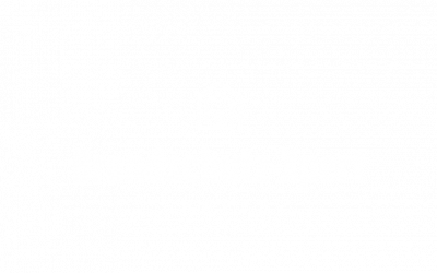 BSX_Logo_weiß